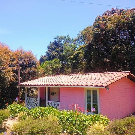 Hospedaje Santaelena -Chalets De Montana- Santa Elena  Eksteriør billede