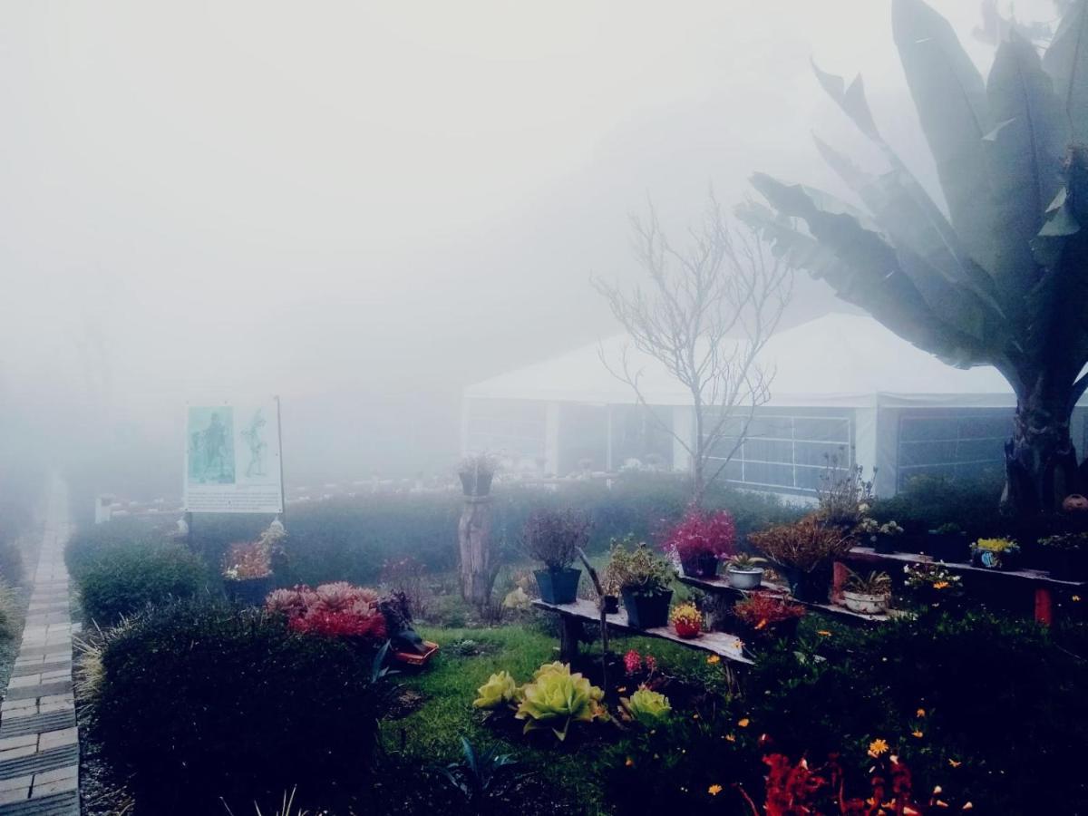 Hospedaje Santaelena -Chalets De Montana- Santa Elena  Eksteriør billede
