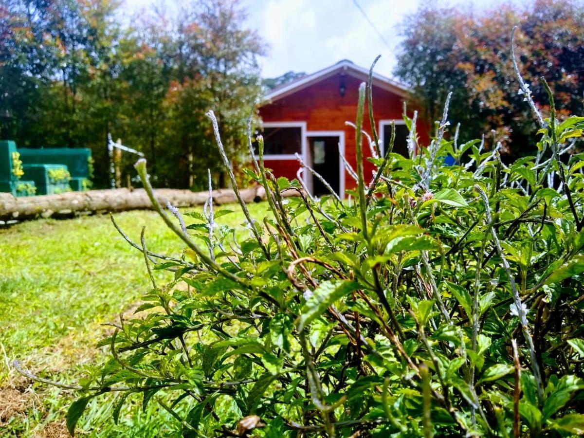 Hospedaje Santaelena -Chalets De Montana- Santa Elena  Eksteriør billede